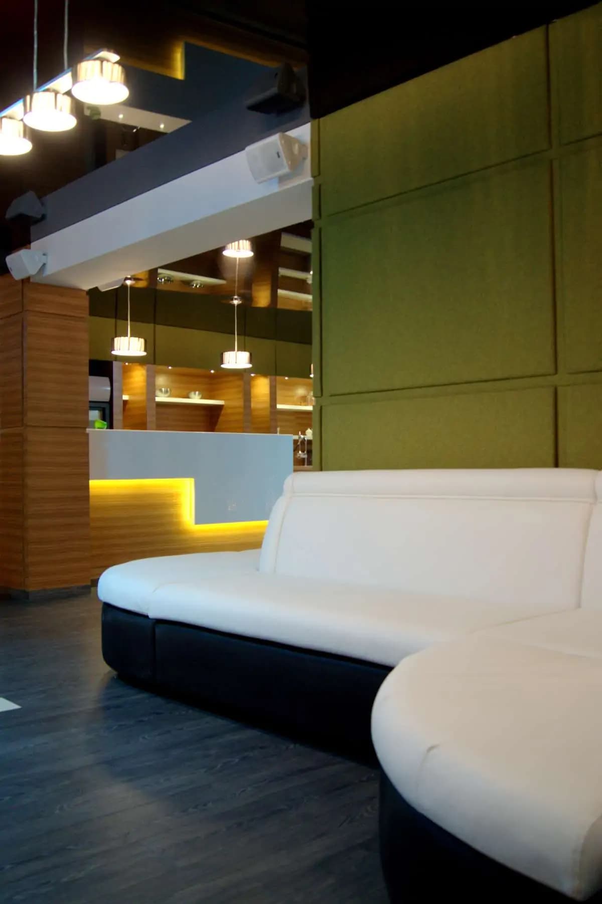 REALIZATION OF THE PHYTO BAR PROJECT IN THE ARCADIA HOTEL gallery image 17