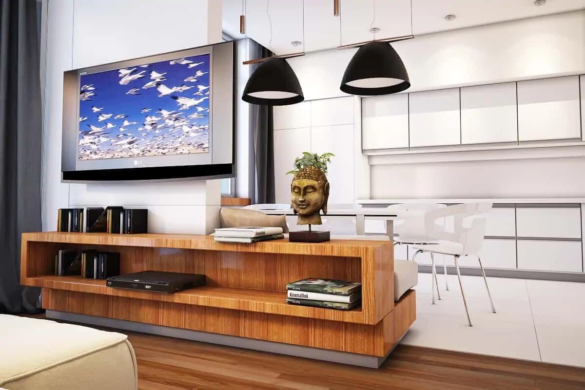 BUDGET MODERN APARTMENT DESIGN gallery image 6