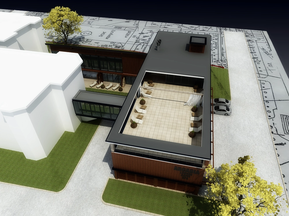 PRE-PROJECT RESEARCH ON RECONSTRUCTION OF ARCADIA SANATORIUM IN MORSHIN gallery image 6